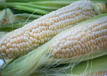Load image into Gallery viewer, CornSilk -The hair of the corn, (Zea mays)
