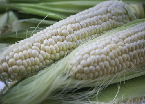 CornSilk -The hair of the corn, (Zea mays)