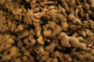 Ginger Root, (Zingiber officinale)