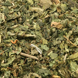 Nettle, (Urtica dioica)