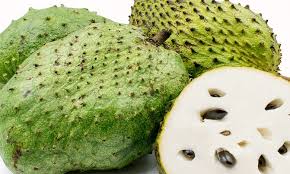 Soursop Leaf Powder, Guanábana, (Annona muricata)